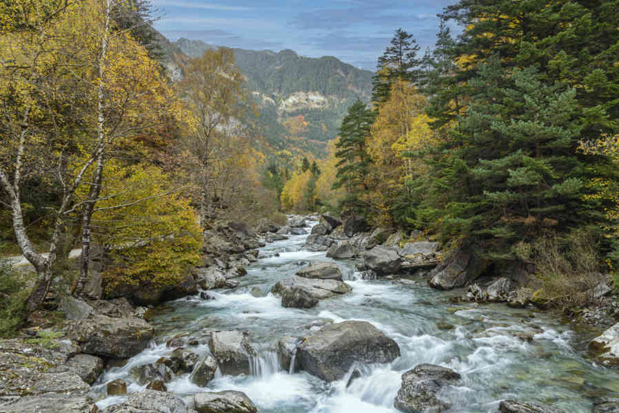 Huesca - parque nacional de Ordesa y Monte Perdido - valle de Ordesa 127 - rio Arazas.jpg